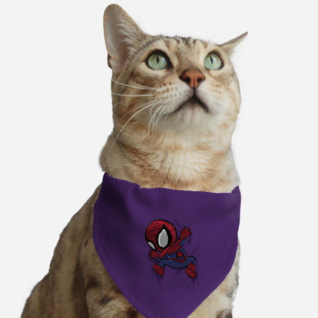 My Portable Spidey-Cat-Adjustable-Pet Collar-zascanauta