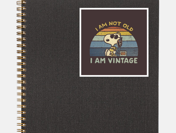 I Am Vintage