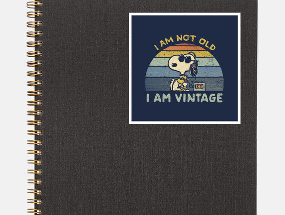 I Am Vintage