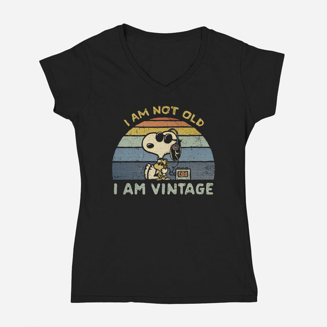 I Am Vintage-Womens-V-Neck-Tee-kg07