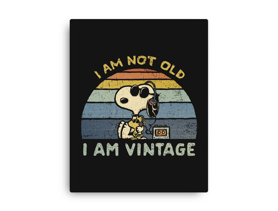 I Am Vintage