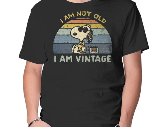 I Am Vintage