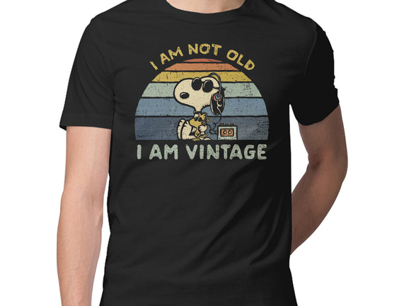 I Am Vintage