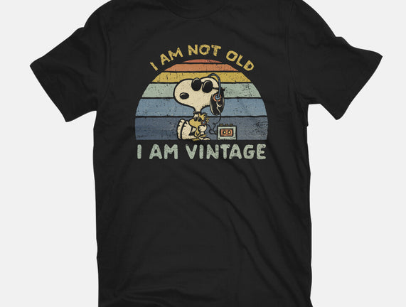 I Am Vintage