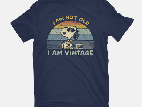 I Am Vintage