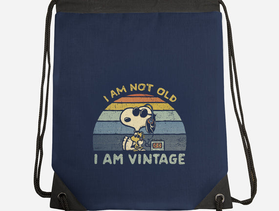 I Am Vintage