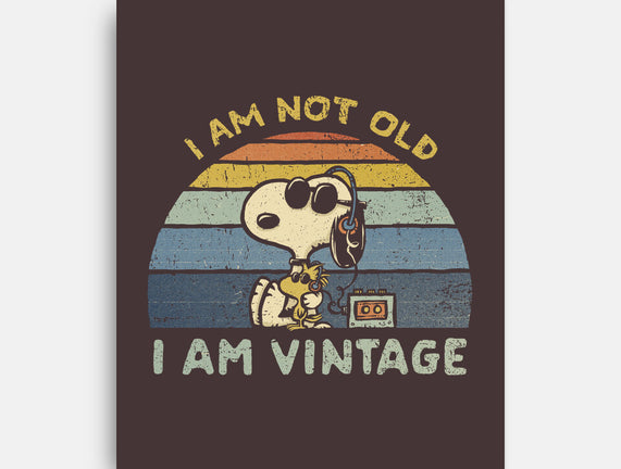 I Am Vintage