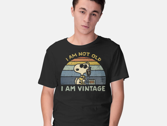 I Am Vintage