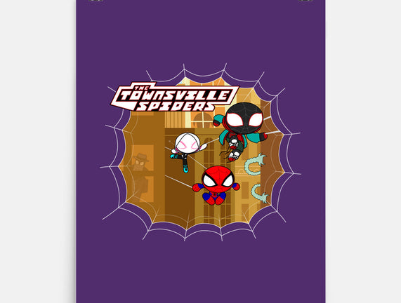 The Townsville Spiders