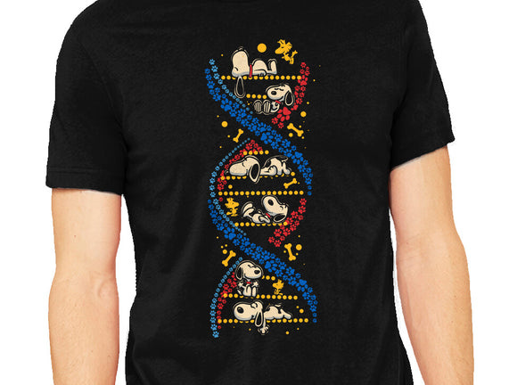 Beagles DNA