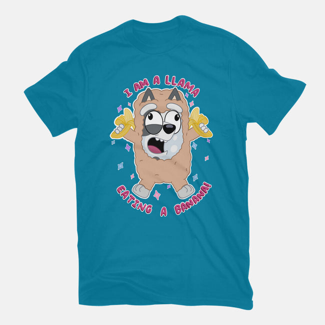I Am A Llama-Mens-Basic-Tee-Alexhefe