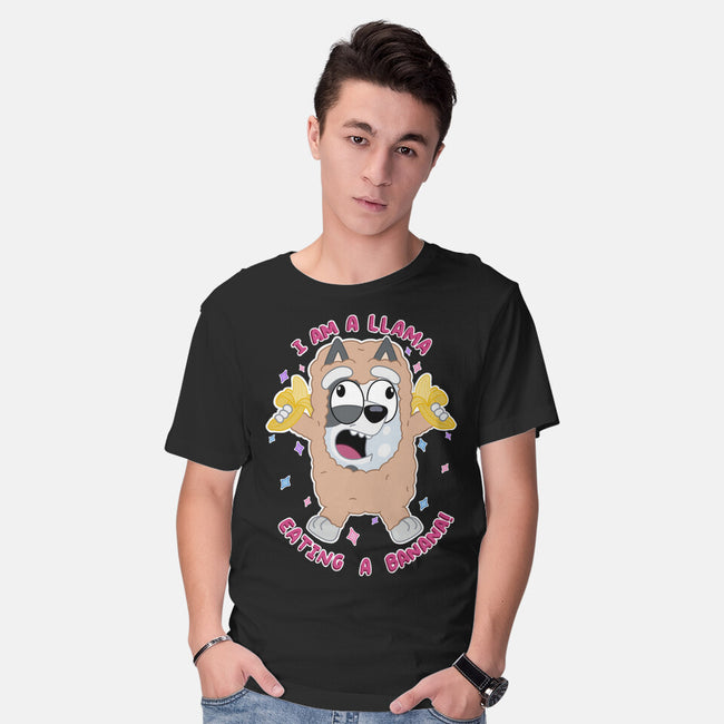 I Am A Llama-Mens-Basic-Tee-Alexhefe