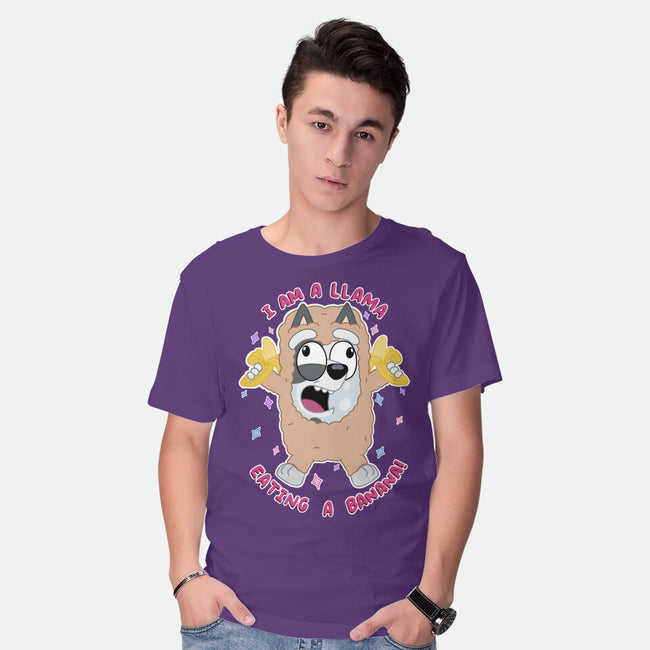 I Am A Llama-Mens-Basic-Tee-Alexhefe