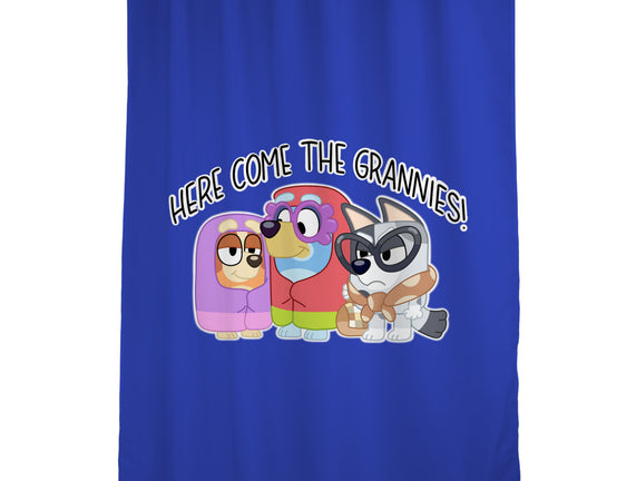 Here Come The Grannies