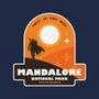 Mandalore National Park-Womens-Racerback-Tank-BadBox