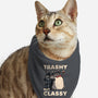 Trashy But Classy-Cat-Bandana-Pet Collar-tobefonseca