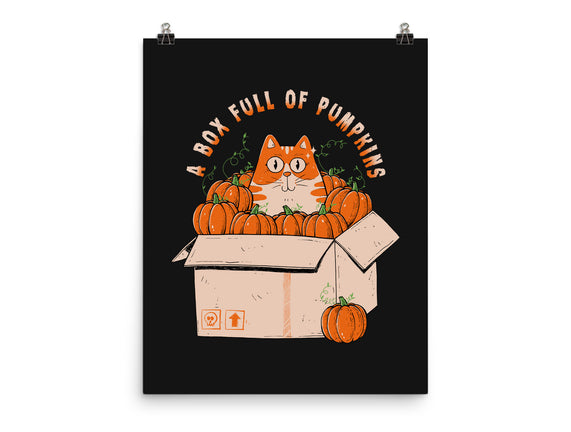 A Box Full Of Pumpkins