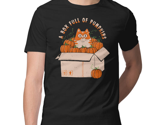 A Box Full Of Pumpkins