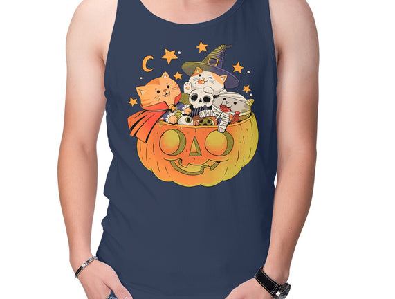 Pumpkin And Cats