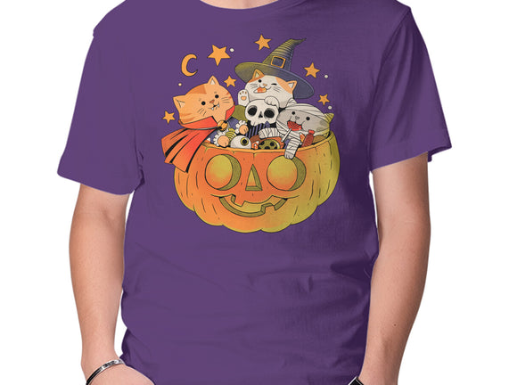 Pumpkin And Cats