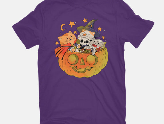 Pumpkin And Cats