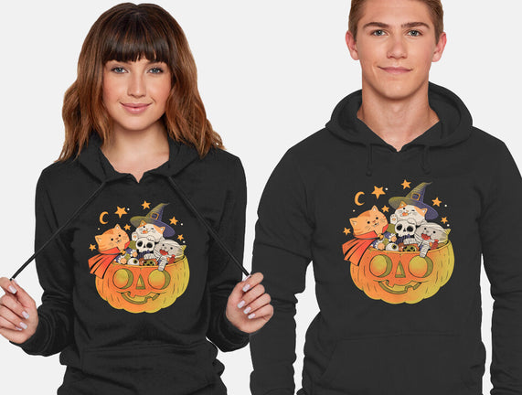 Pumpkin And Cats