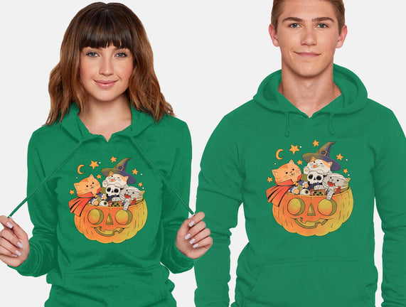 Pumpkin And Cats