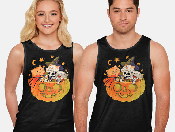 Pumpkin And Cats