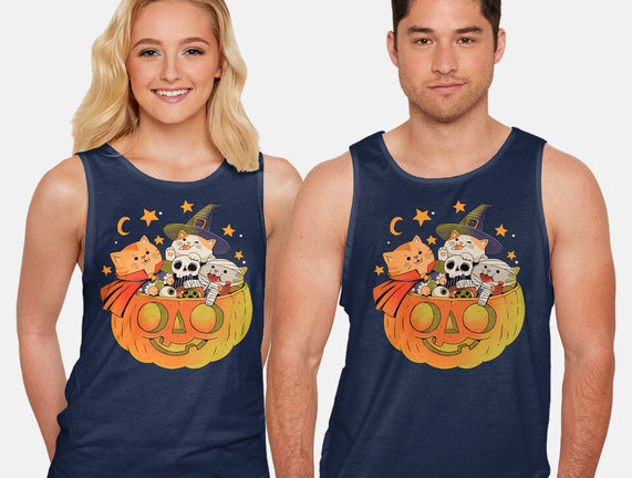 Pumpkin And Cats