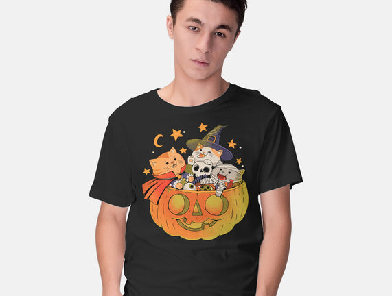 Pumpkin And Cats