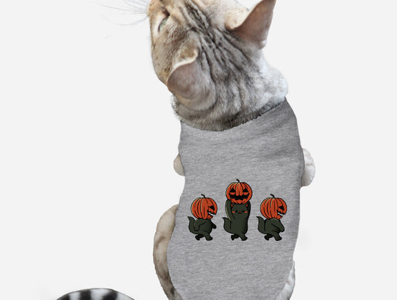 Halloween Pumpkin Kittens
