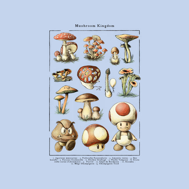 The Mushroom Kingdom-None-Removable Cover-Throw Pillow-BlancaVidal