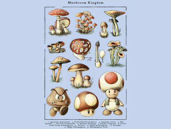 The Mushroom Kingdom