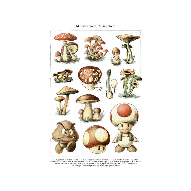 The Mushroom Kingdom-Mens-Basic-Tee-BlancaVidal