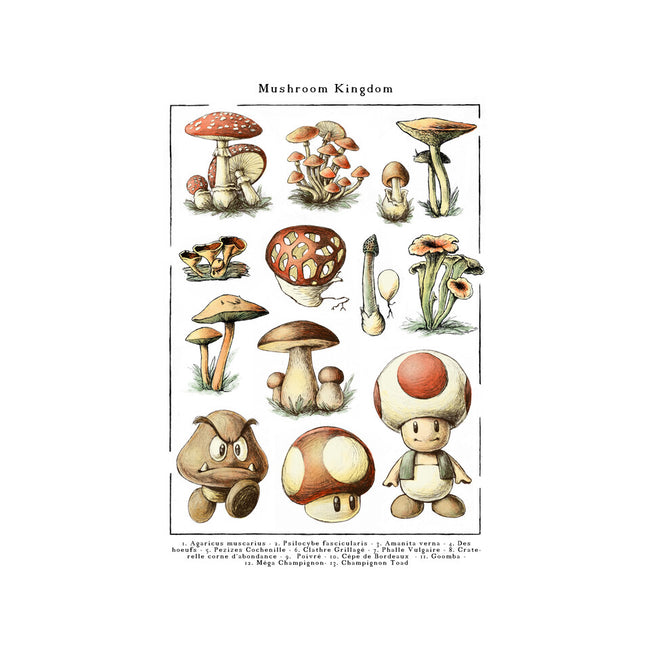 The Mushroom Kingdom-Mens-Basic-Tee-BlancaVidal