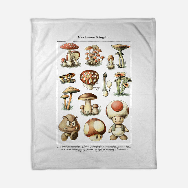 The Mushroom Kingdom-None-Fleece-Blanket-BlancaVidal