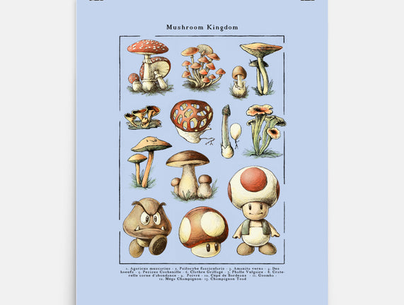 The Mushroom Kingdom