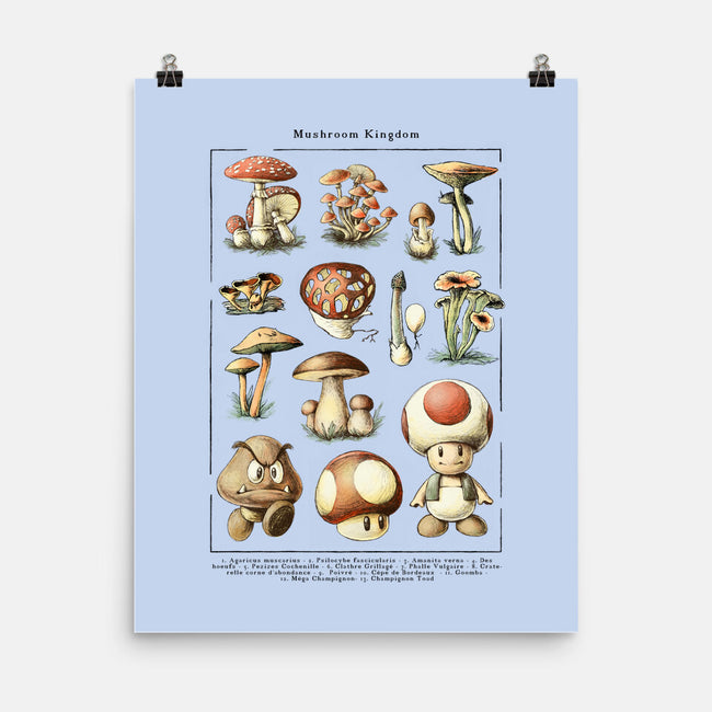 The Mushroom Kingdom-None-Matte-Poster-BlancaVidal