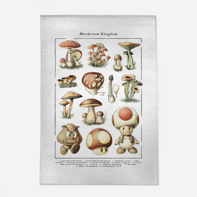 The Mushroom Kingdom-None-Indoor-Rug-BlancaVidal