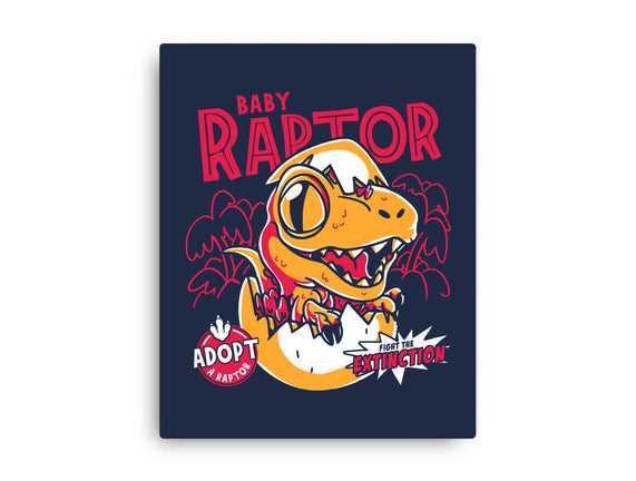 Baby Raptor