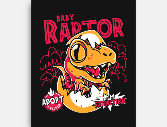 Baby Raptor