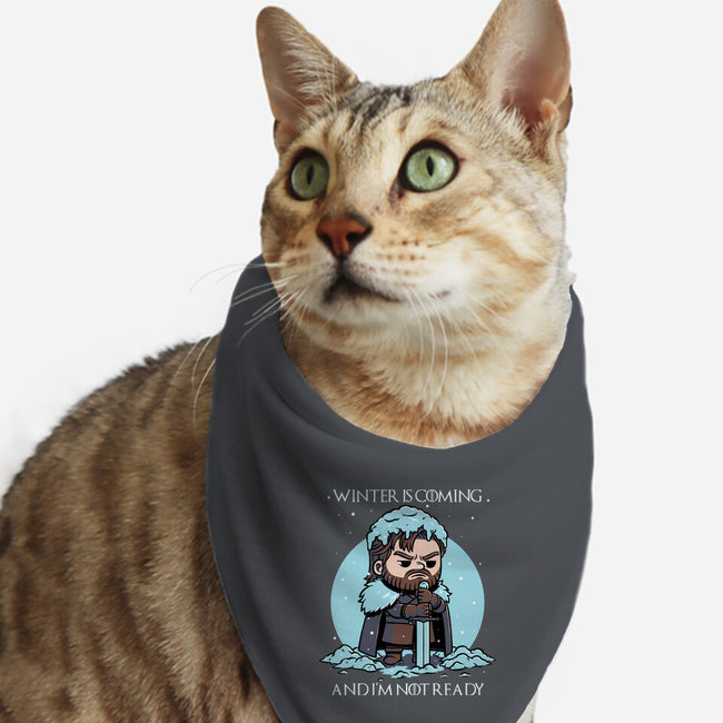 The Winter Is Coming-Cat-Bandana-Pet Collar-Studio Mootant
