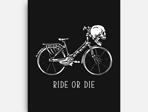 Bike Skeleton