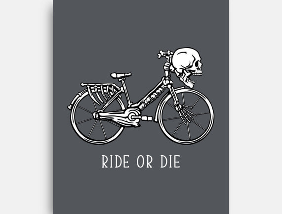 Bike Skeleton