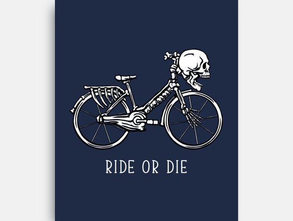 Bike Skeleton