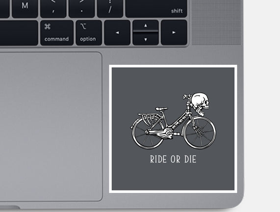 Bike Skeleton
