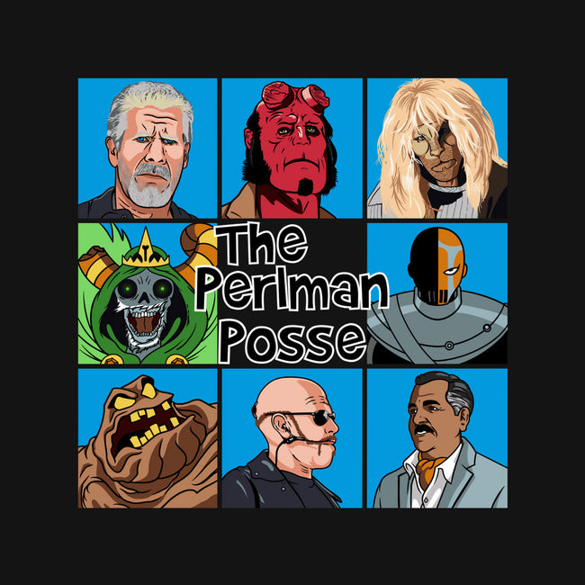 The Perlman Posse-Mens-Basic-Tee-SeamusAran