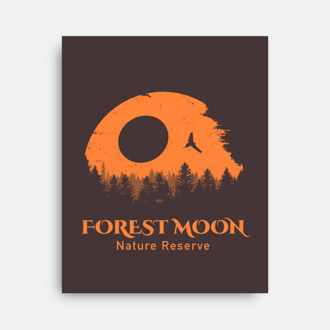 Forest Moon Nature Reserve-None-Stretched-Canvas-drbutler