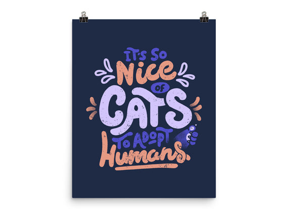 Cats Adopt Humans