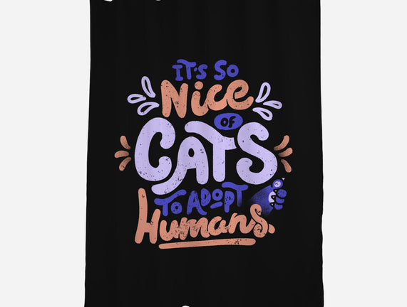 Cats Adopt Humans